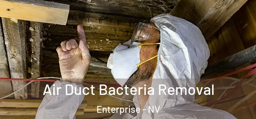  Air Duct Bacteria Removal Enterprise - NV
