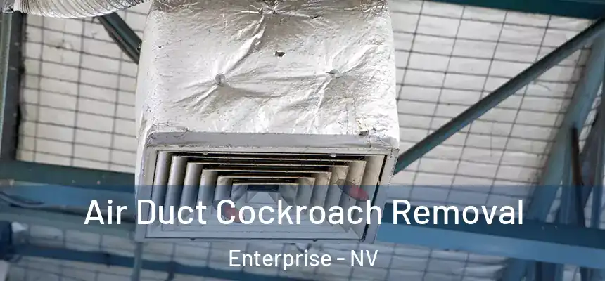 Air Duct Cockroach Removal Enterprise - NV