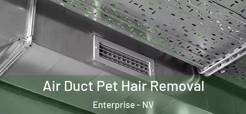 Air Duct Pet Hair Removal Enterprise - NV
