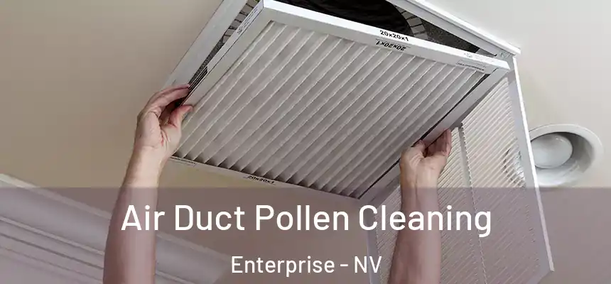  Air Duct Pollen Cleaning Enterprise - NV