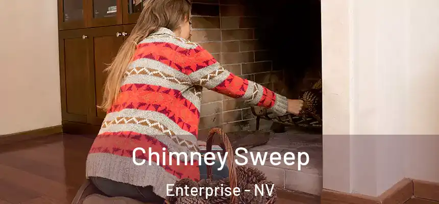 Chimney Sweep Enterprise - NV