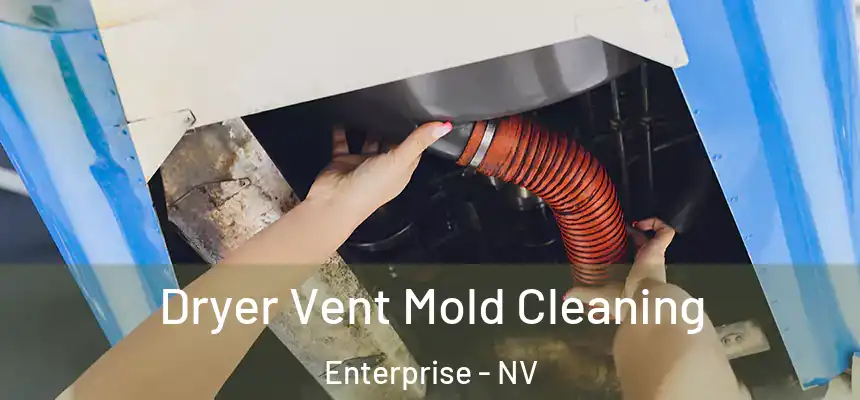 Dryer Vent Mold Cleaning Enterprise - NV