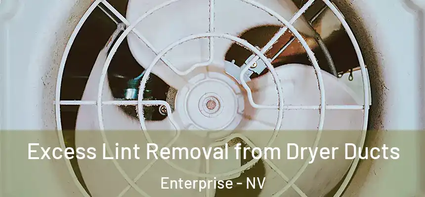  Excess Lint Removal from Dryer Ducts Enterprise - NV