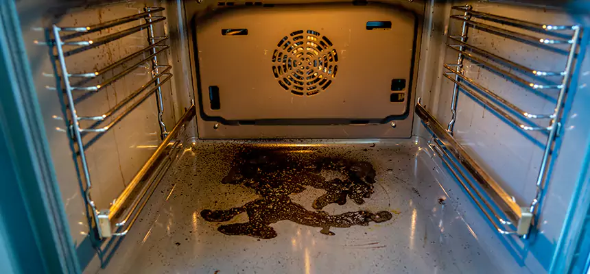 Our Dryer Vent Mold Cleaning Services in Enterprise, NV