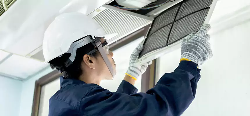 Our Mold & Mildew Removal from Air Ducts Services in Enterprise, NV