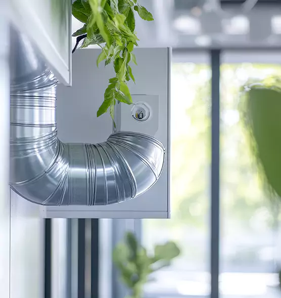 Professional Eco-Safe Dryer Vent Cleaning in Enterprise, NV