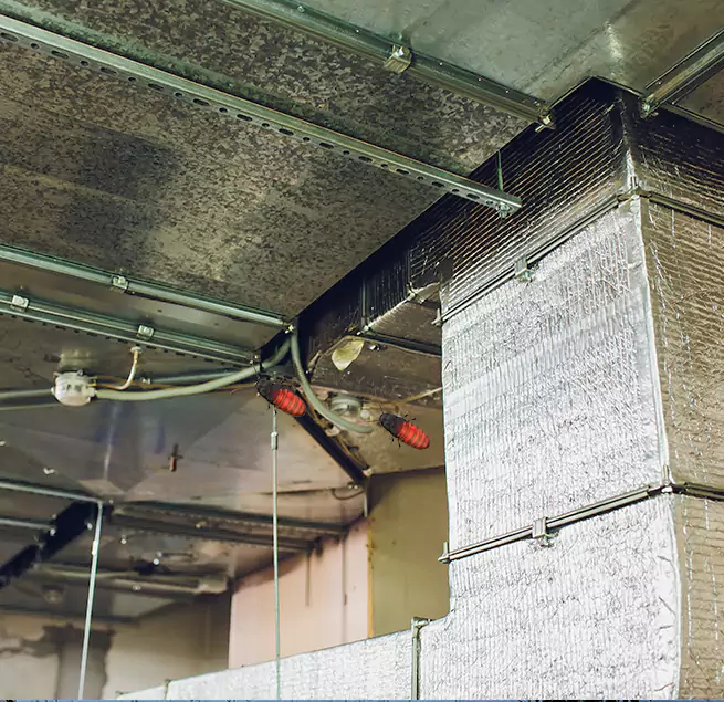 Why Homeowners & Businesses Trust Us in Enterprise, NV?