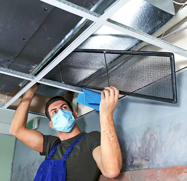 Why Homeowners Businesses Trust Us in Enterprise, NV