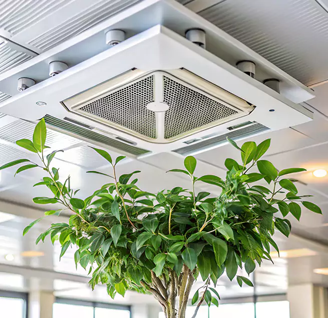 Why Homeowners & Businesses Trust Us in Enterprise, NV?